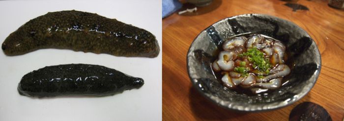 Ужасающие деликатесы из Японии (21 фото)