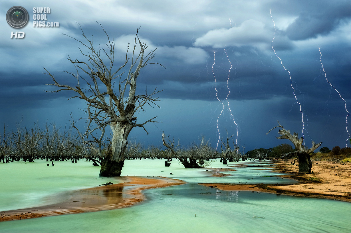 &laquo;Поощрительный приз&raquo;. Сюрреалистическая зелёно-молочная вода озера Менинди &mdash; природный феномен, вызванный электромагнитной активностью молний, бьющих по поверхности. Место съемки: Австралия. Менинди, Новый Южный Уэльс. (Julie Fletcher/National Geographic Photo Contest)