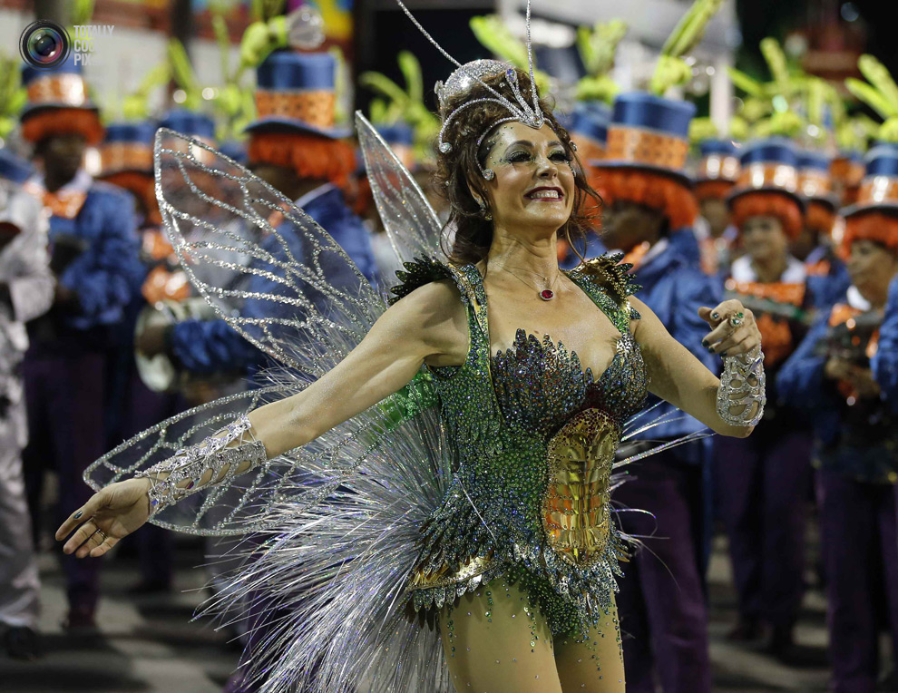 Бразильский карнавал 2014.