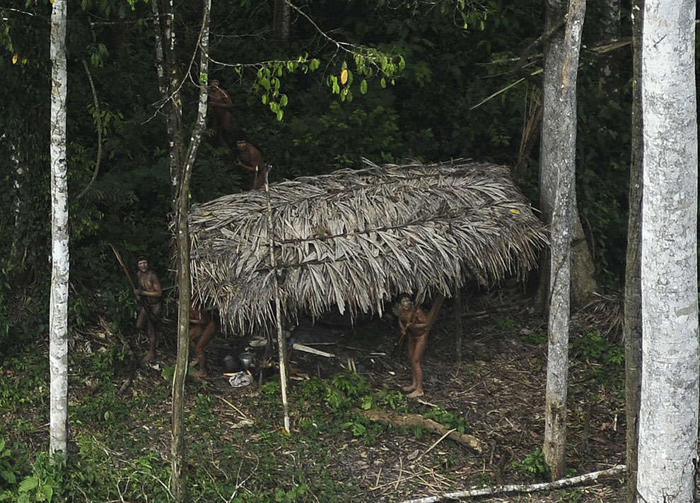 Выживание в Amazon