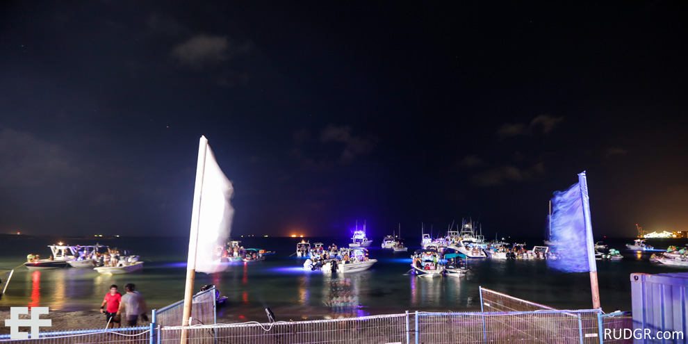 Электрический фестиваль Арубы 2014 в 101 фотографий