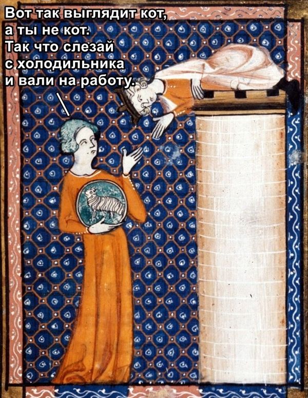 Средневековье в смешных картинках (35 картинок)