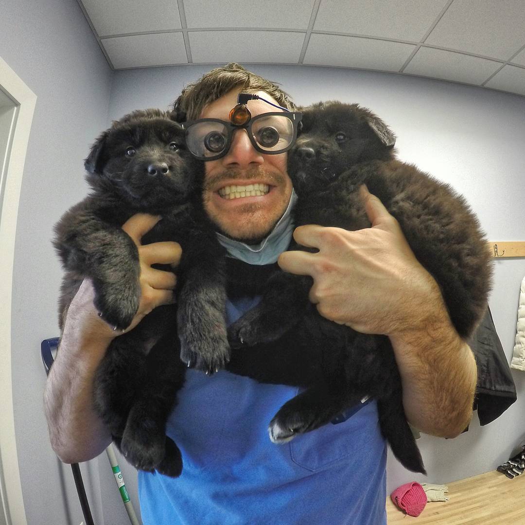 Стоматолог Тим, со своими собаками (20 ФОТО)
