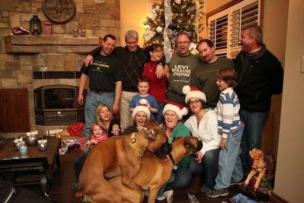 Самые смешные, нелепые, стыдные, неловкие рождественские фотографии, за которые можно сгореть со стыда !