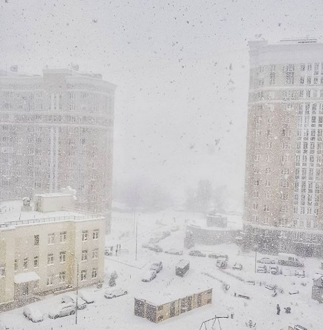 Небывалый снегопад в Центральной Рф (23 фото)