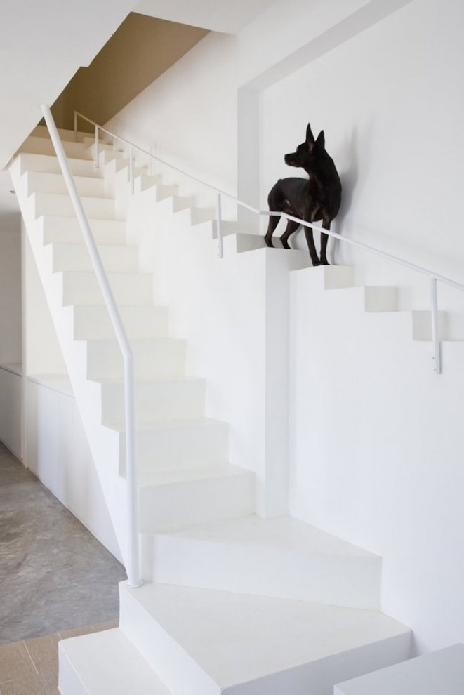Необыкновенные дизайнерские лестницы