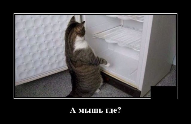 Демотиватор про мышь в холодильнике