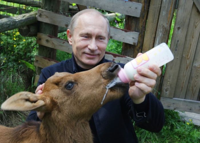 Жизнедеятельность Владимира Путина глазами американцев (30 фото)