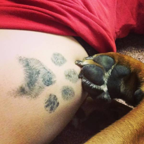 Татуировка с лапой пса (39 фото)