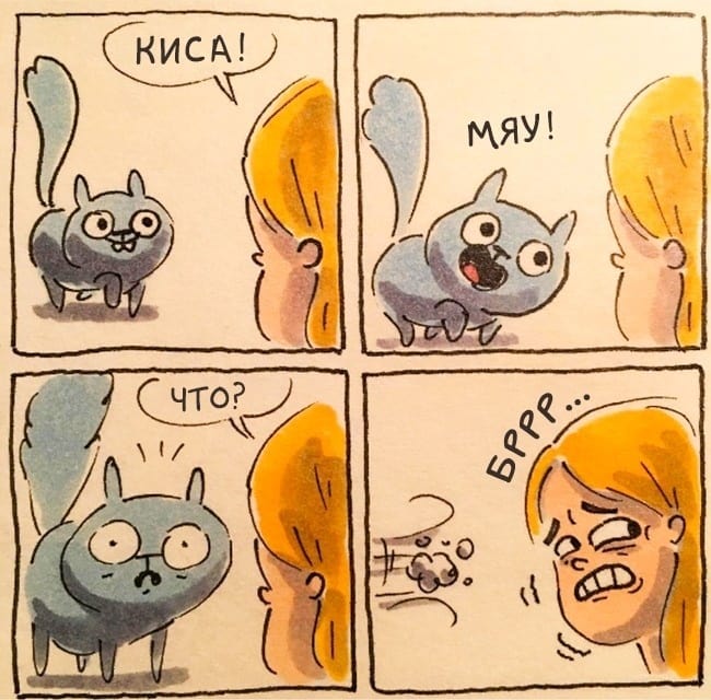 Забавные и истинные комиксы о жизни с котом (15 иллюстраций)