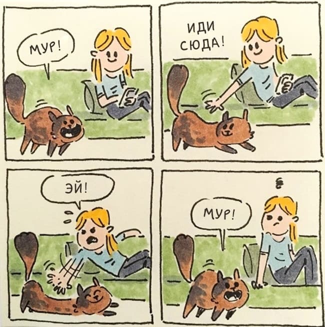 Забавные и истинные комиксы о жизни с котом (15 иллюстраций)