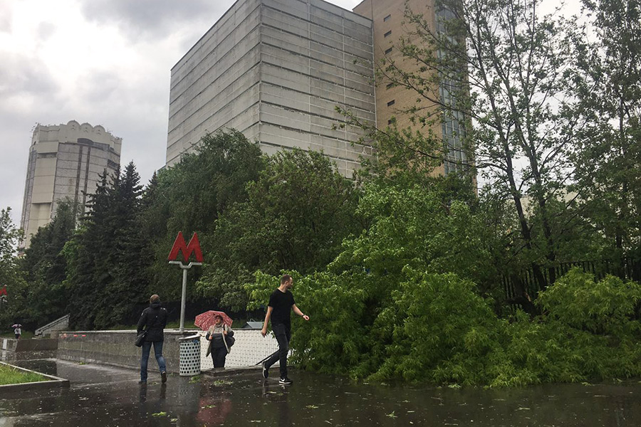 Последствие урагана, бури в Москве