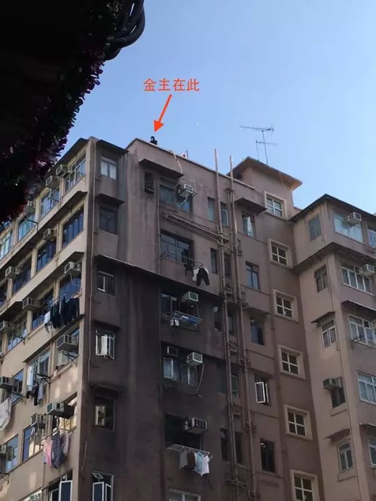 Биткоин-миллионер Вонг Чинг сбросил с крыши почти $13 млн (10 фото + видео)