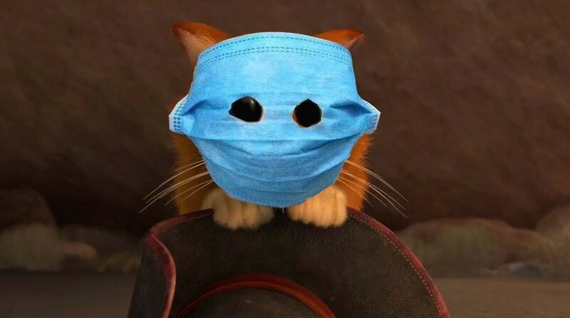 Фотожабы с котом в маске (25 фото)