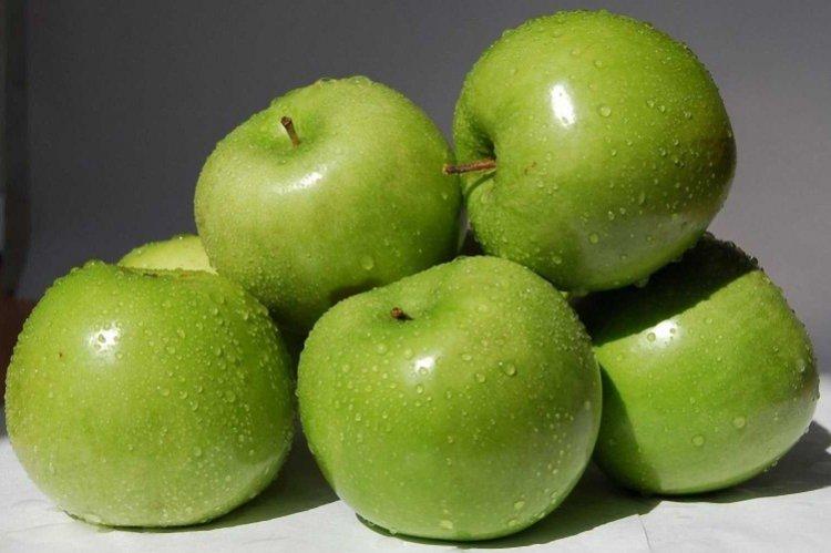Семеренко - Самые высокоурожайные сорта зеленых яблок
